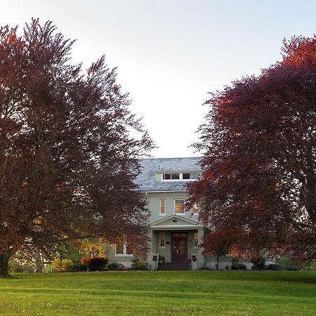 Yale Manor B&B & Yurt Glamping Exterior foto