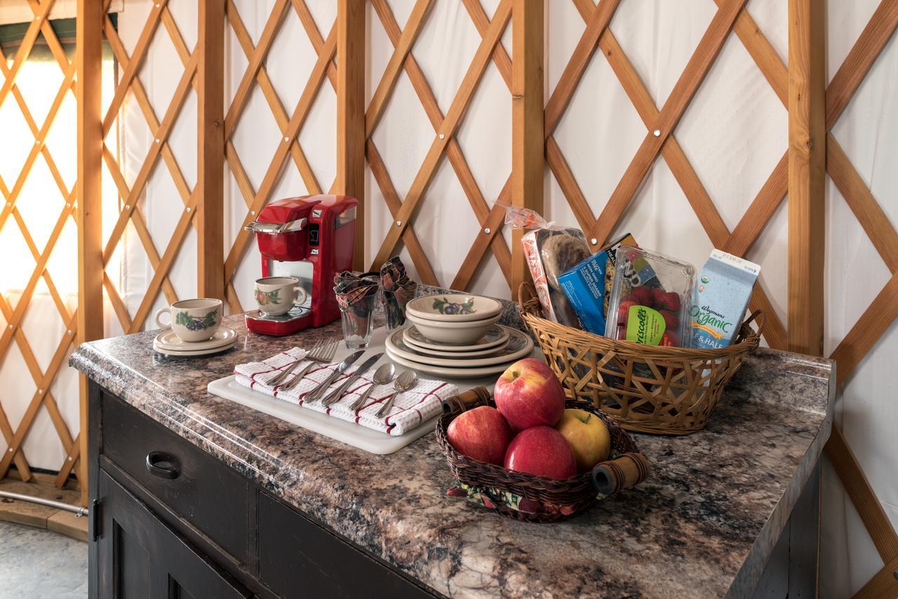 Yale Manor B&B & Yurt Glamping Exterior foto