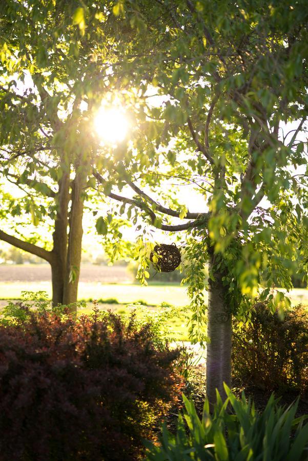 Yale Manor B&B & Yurt Glamping Exterior foto