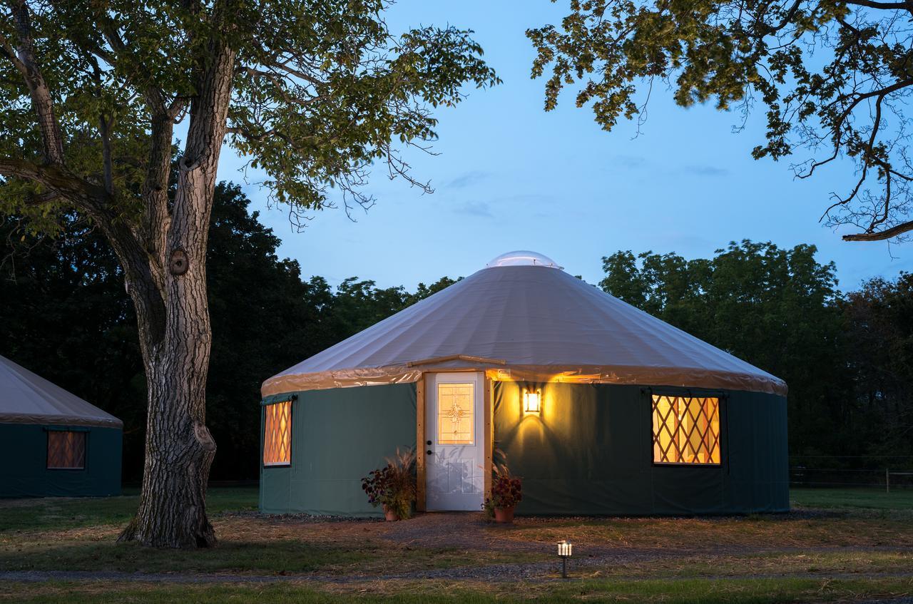 Yale Manor B&B & Yurt Glamping Exterior foto